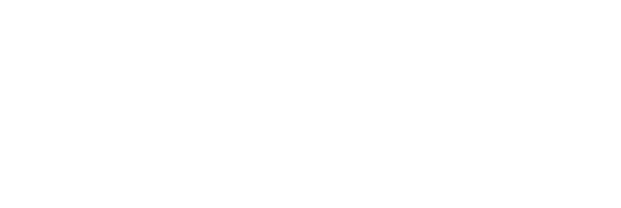 Zowdin Collections